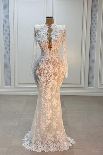 Portrait V-Neck Long Sleeve Mermaid Lace White Wedding Dress